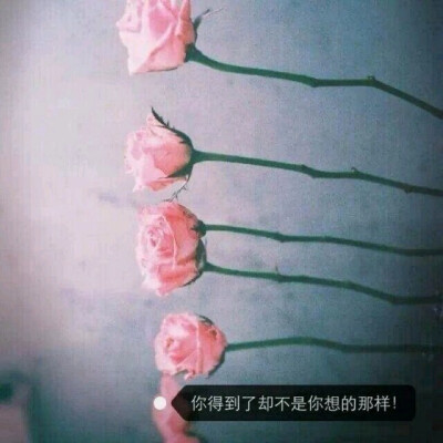 你得到了却不是你想的那样！