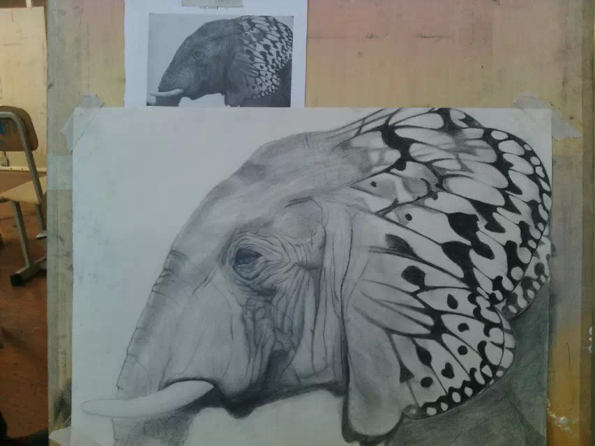 素描 黑白 创意 蝴蝶大象