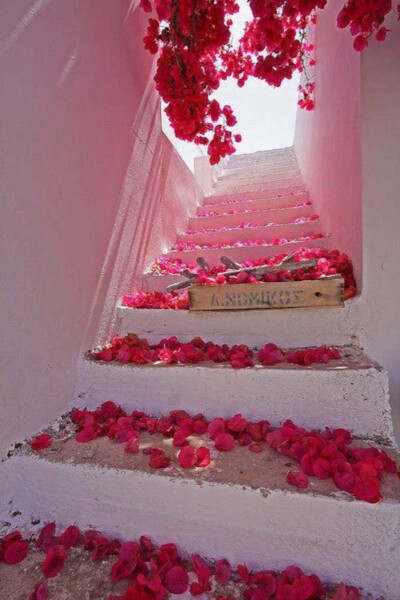 希腊 走廊 玫瑰花 天堂 阶梯