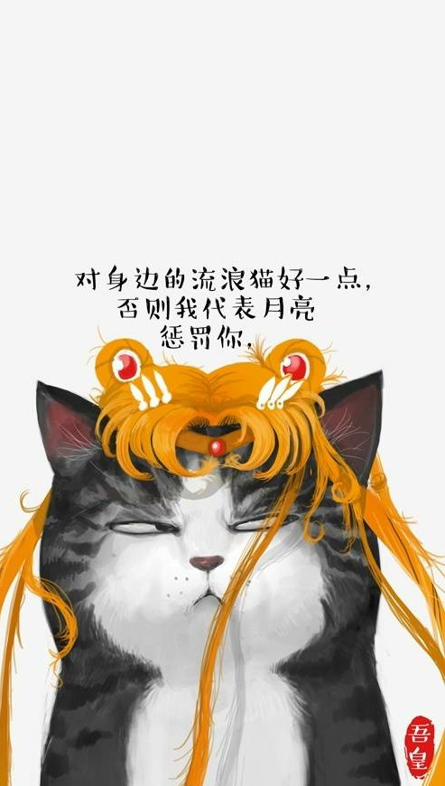 对身边的流浪猫好一点，否则 我代表月亮惩罚你