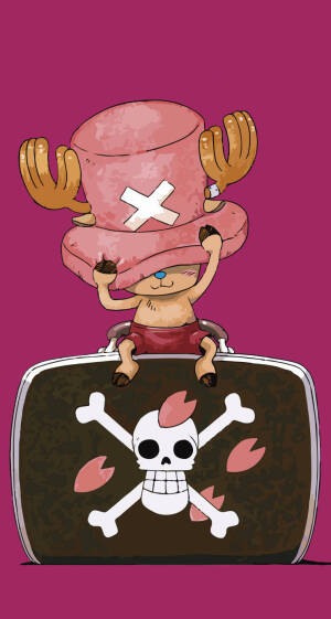 海贼王，萌宠乔巴