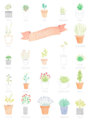 【十二星座厨艺达人排行榜】冠军（巨蟹座）、亚军（金牛座）、季军（双鱼座）、第四名（双子座）、第五名（天秤座）、第六名（处女座）、第七名（射手座）、第八名（水瓶座）、第九名（魔羯座）、第十名（狮子座）、第十一名（白羊座）、第十二名（天蝎座）