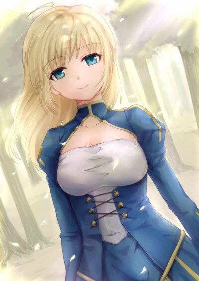 吾王saber 阿尔托利亚 fate stay night