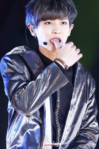 EXO 朴灿烈Chanyeol