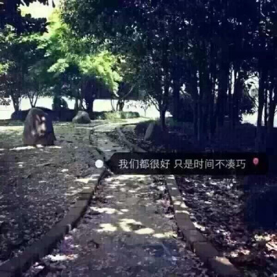 只是时间不凑巧.