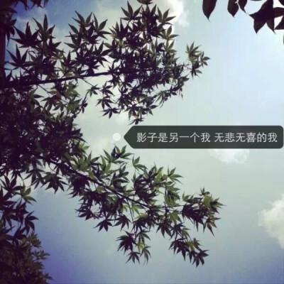 无光的时候连影子都不会陪你.