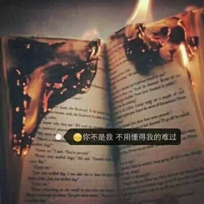 你永远不懂我，就像白天不懂夜的黑.