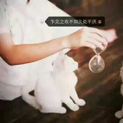 乍见之欢不如久处不厌.