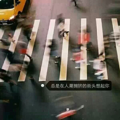 只可惜没有你的背影.