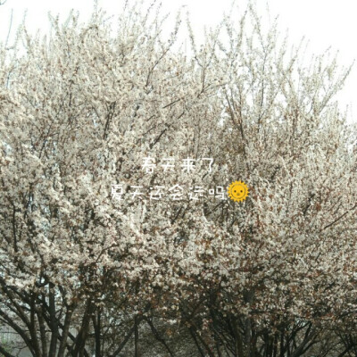 早安生活瞬息万变~人生的分岔路太多~你只能根据自己的选择一直前进自己的路要自己走、