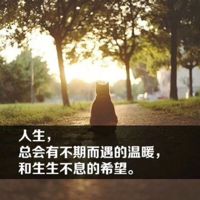 任时光苍老了你我，对你的承诺痴心不改～