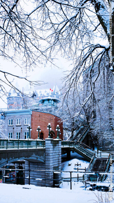 雪景