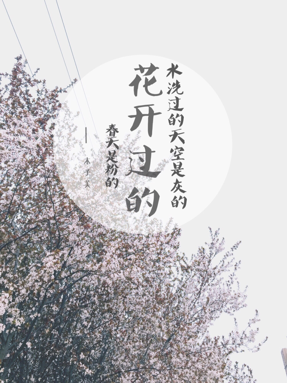 三月花開。