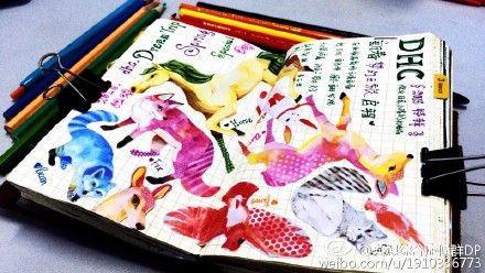 DHC2015春季画报剪贴