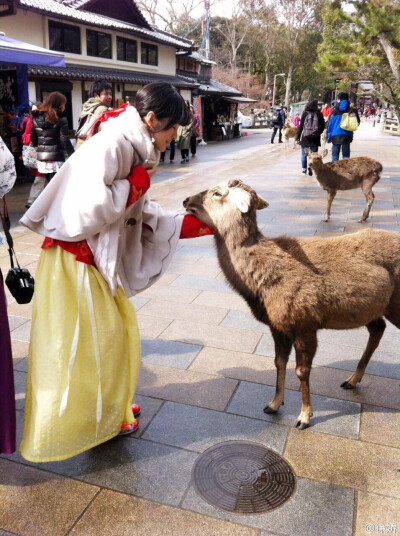 #带着汉服去旅行# 徐娇