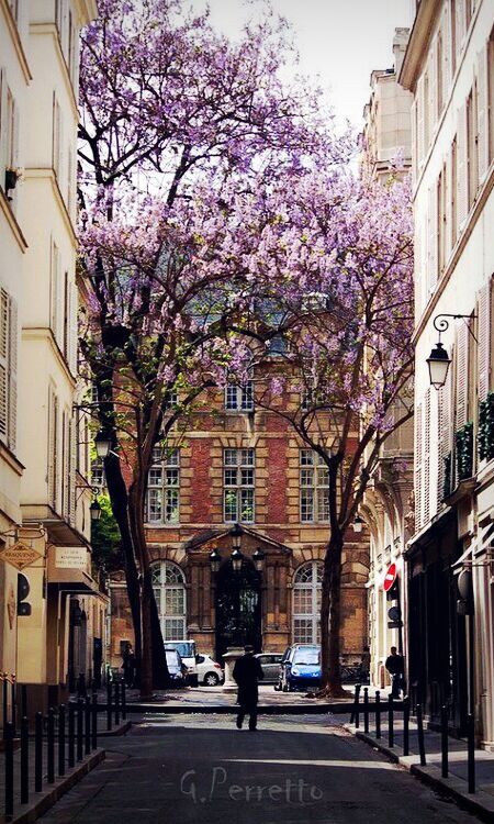 Place Furstenburg, Paris, France。法国巴黎福斯坦堡广场，福斯坦堡广场是一个非常浪漫的地方，这巴黎最小的广场也是法国画家 Delacroix 的画室之处。漫步四周，会发现有好多著名的设计商店，材料店，装饰店和古董店。