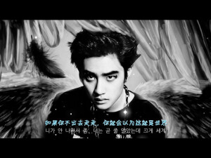 D.O.酷酷的
