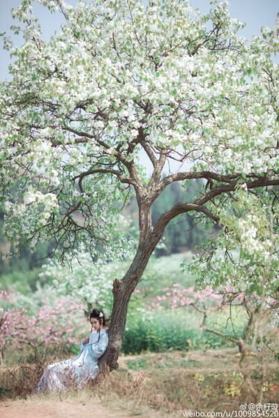 #汉服摄影•芳华十二韵# 草木也知愁，韶华竟白头。叹今生，谁舍谁收？ 摄影师@东边糖糖云 造型@胖瞳喵尾星 饰品服装提供@玉凝_海棠 出镜@余籽璇