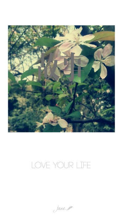 love your life