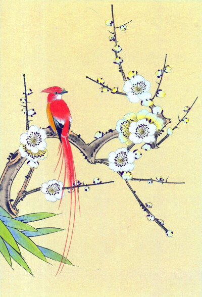 工笔画之梅花枝上的红色长尾喜鹊