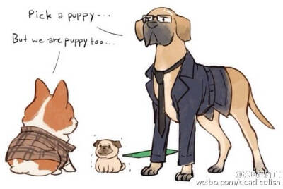 #kingsman# 忍不住搬运下ಠ_ಠ我不好，这个太太的梗一直萌炸我，这次的puppies简直(♡ˊ艸ˋ♡)awwww source: [kadeart] http://t.cn/zYxY4Y8