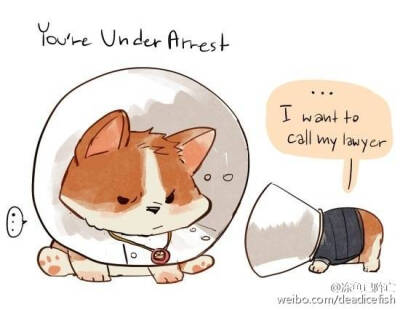 #kingsman# 忍不住搬运下ಠ_ಠ我不好，这个太太的梗一直萌炸我，这次的puppies简直(♡ˊ艸ˋ♡)awwww source: [kadeart] http://t.cn/zYxY4Y8