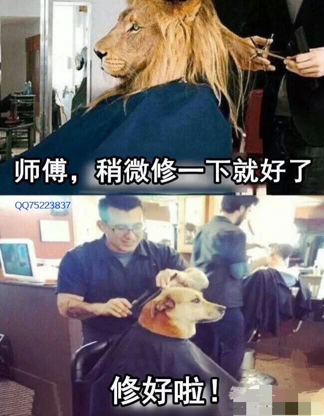 你特么在逗我