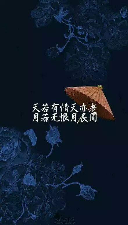 古风意境情话文字壁纸小红伞天若有情天亦老