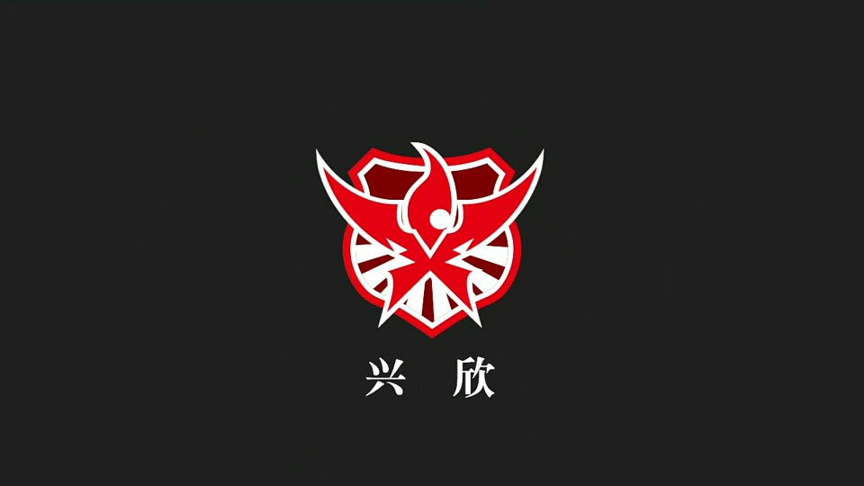 【战队logo】冠军之队，王者之师。（兴欣）