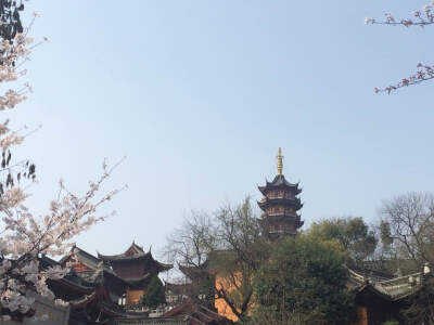 鸡鸣寺，樱花