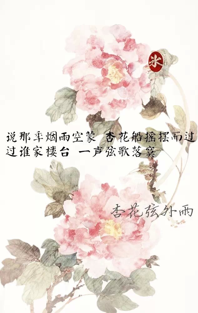 critty-杏花弦外雨