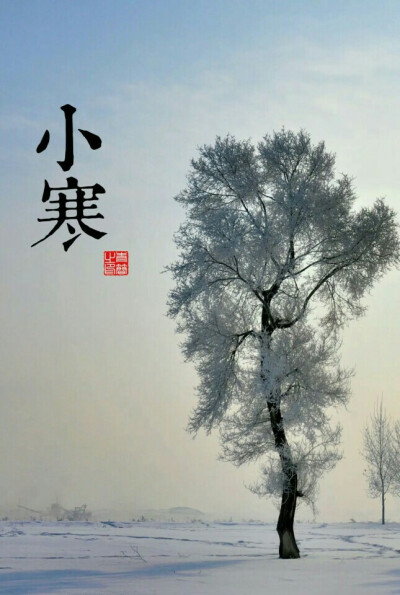 小寒：1月5日前后，此时气候开始寒冷。