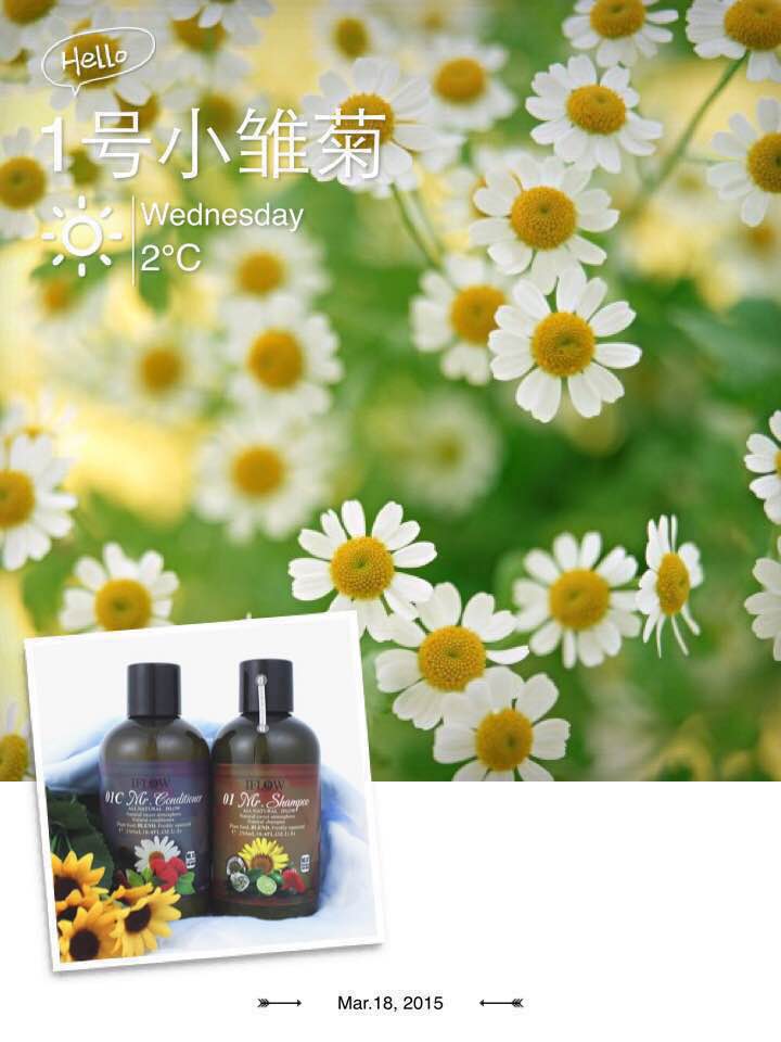 1号 Iflow&amp;amp;艾芙洛