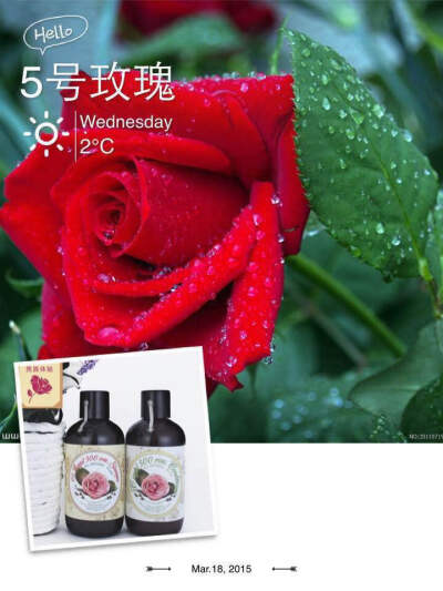 5号 Iflow&amp;amp;艾芙洛