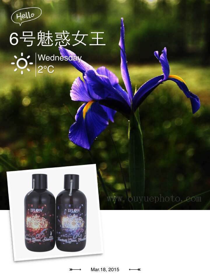 6号 Iflow&amp;amp;艾芙洛