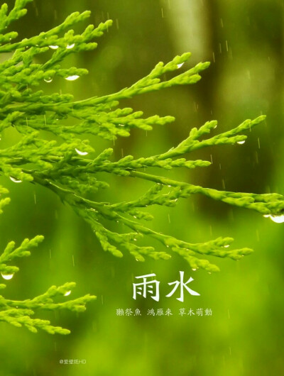 「雨水红杏花开鲜」2月18日―20日，此时冬去春来，气温开始回升，空气湿度不断增大，但冷空气活动仍十分频繁。