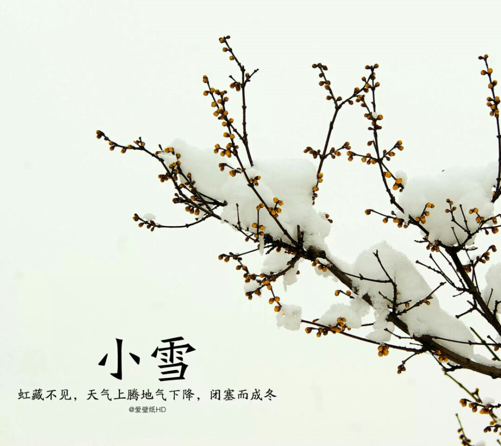 小雪：11月22日前后为“小雪”节气。北方冷空气势力增强，气温迅速下降，降水出现雪花，但此时为初雪阶段，雪量小，次数不多，黄河流域多在“小雪”节气后降雪。