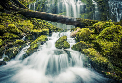 150330 - Proxy Falls, Oregon, USA BY Derek Kind