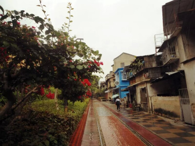 花还没开的铁路公园