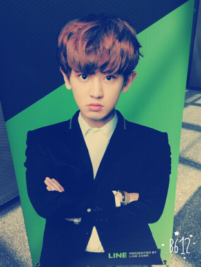 EXO 朴灿烈
