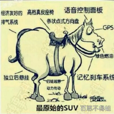 传说中的SUV