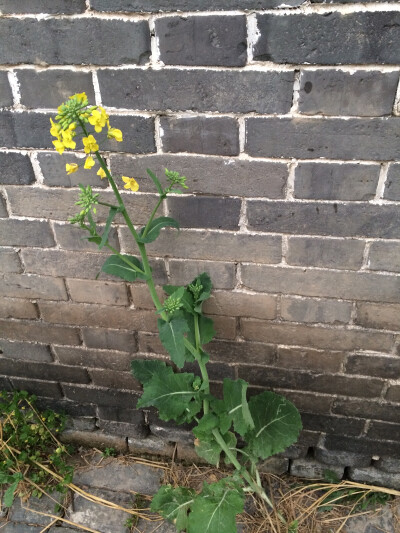 独自一人在角落