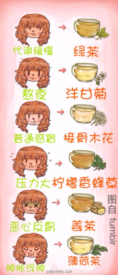 【各种茶的功效】