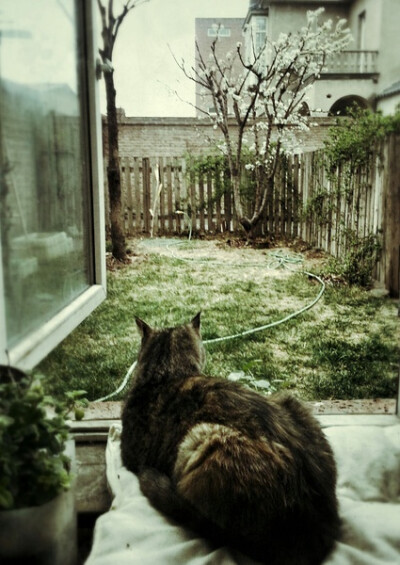 细雨挡不住我赏花听风