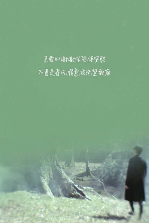 文艺 文字 歌词 壁纸 by MrJuno