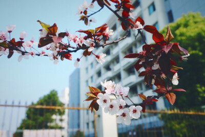 via夏铃 华东理工大学