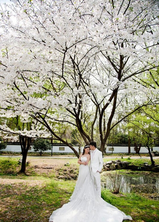 春天最美新娘韩式浪漫小清新婚纱照