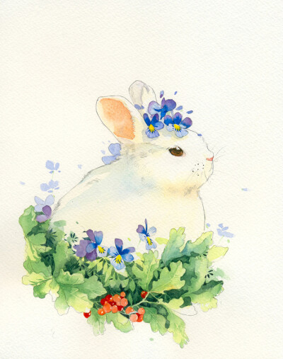 插画 水彩 兔子 动物 植物