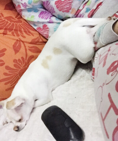 睡姿一點都不優美