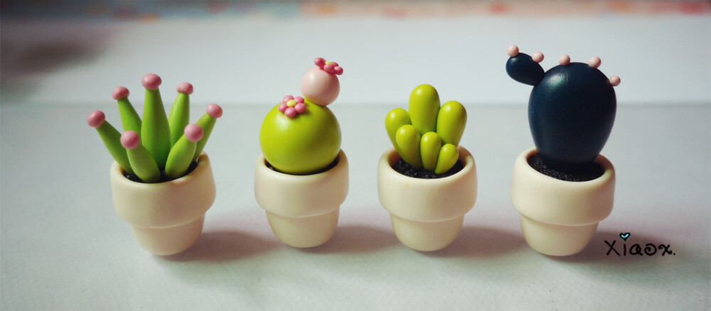#小小手作# 小盆栽~